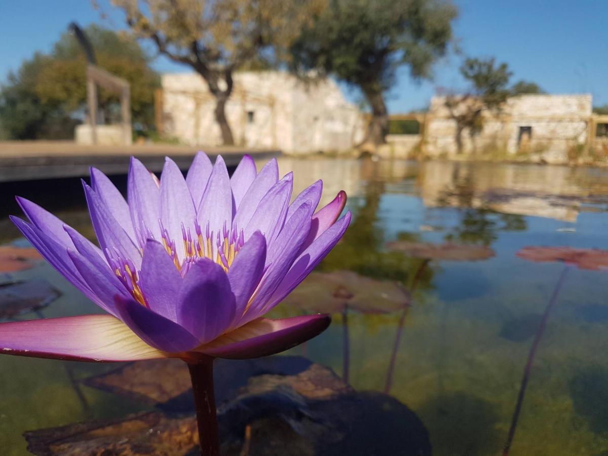 Il Fiore Della Vita Trulli Country House Conversano Exterior photo