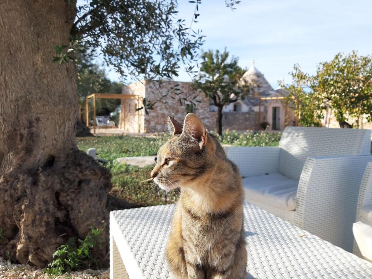 Il Fiore Della Vita Trulli Country House Conversano Exterior photo